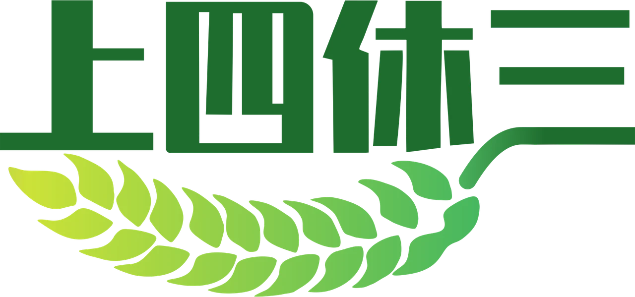 河南上四休三数据科技有限公司